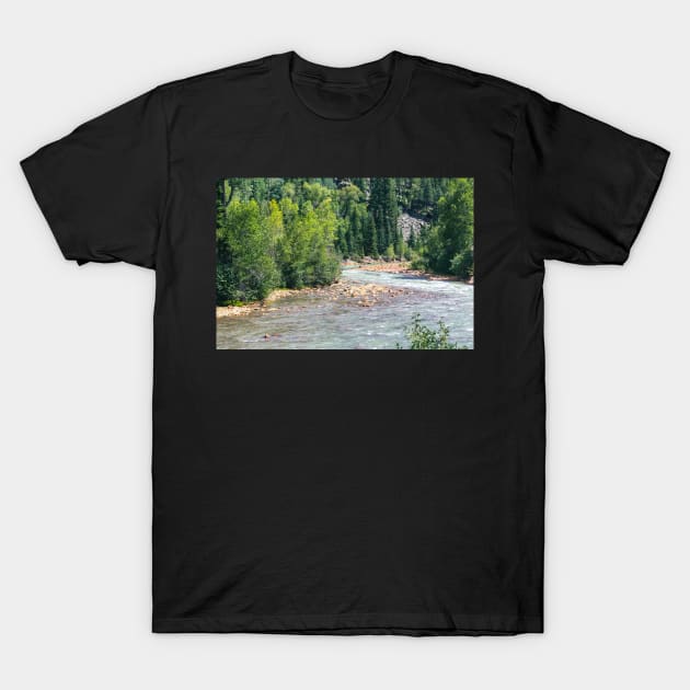 Animas River T-Shirt by Kelly Louise Art